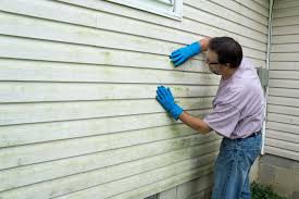 Best Storm Damage Siding Repair  in Bellemont, AZ